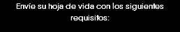 Envíe su hoja de vida con los siguientes requisitos: