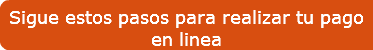 Sigue estos pasos para realizar tu pago en linea